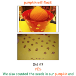 Pumpkin Prediction Freebie