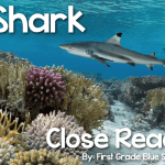 Shark Close Read and… a Giveaway, too!