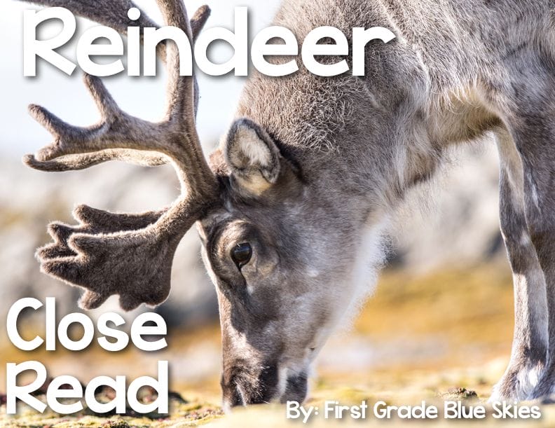 Reindeer Close Read : Blue Skies with Jennifer White