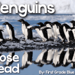 Penguin Close Read