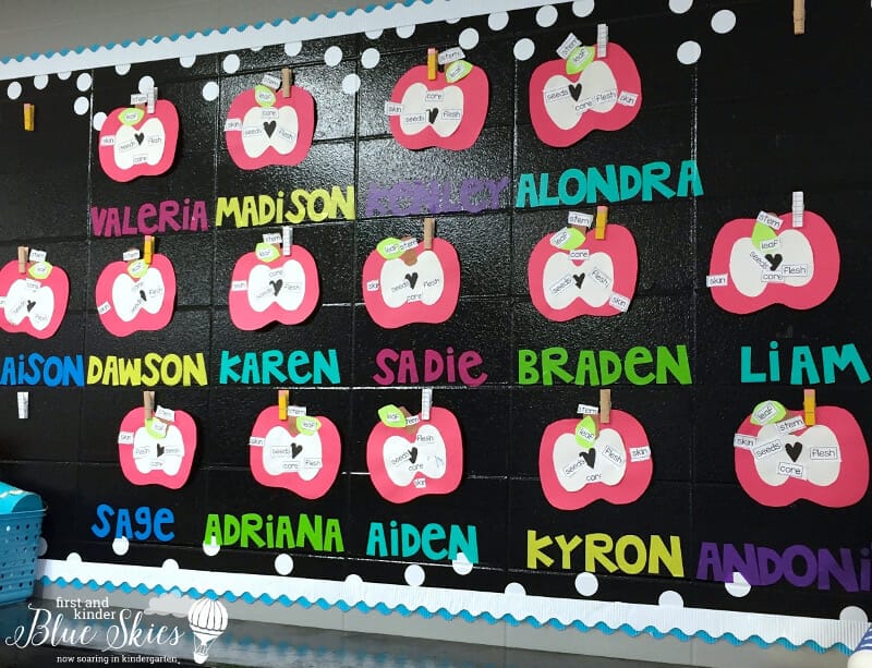 apple bulletin board
