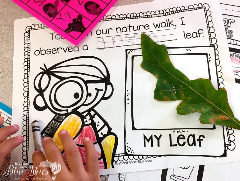 leaf-hunt-kindergarten