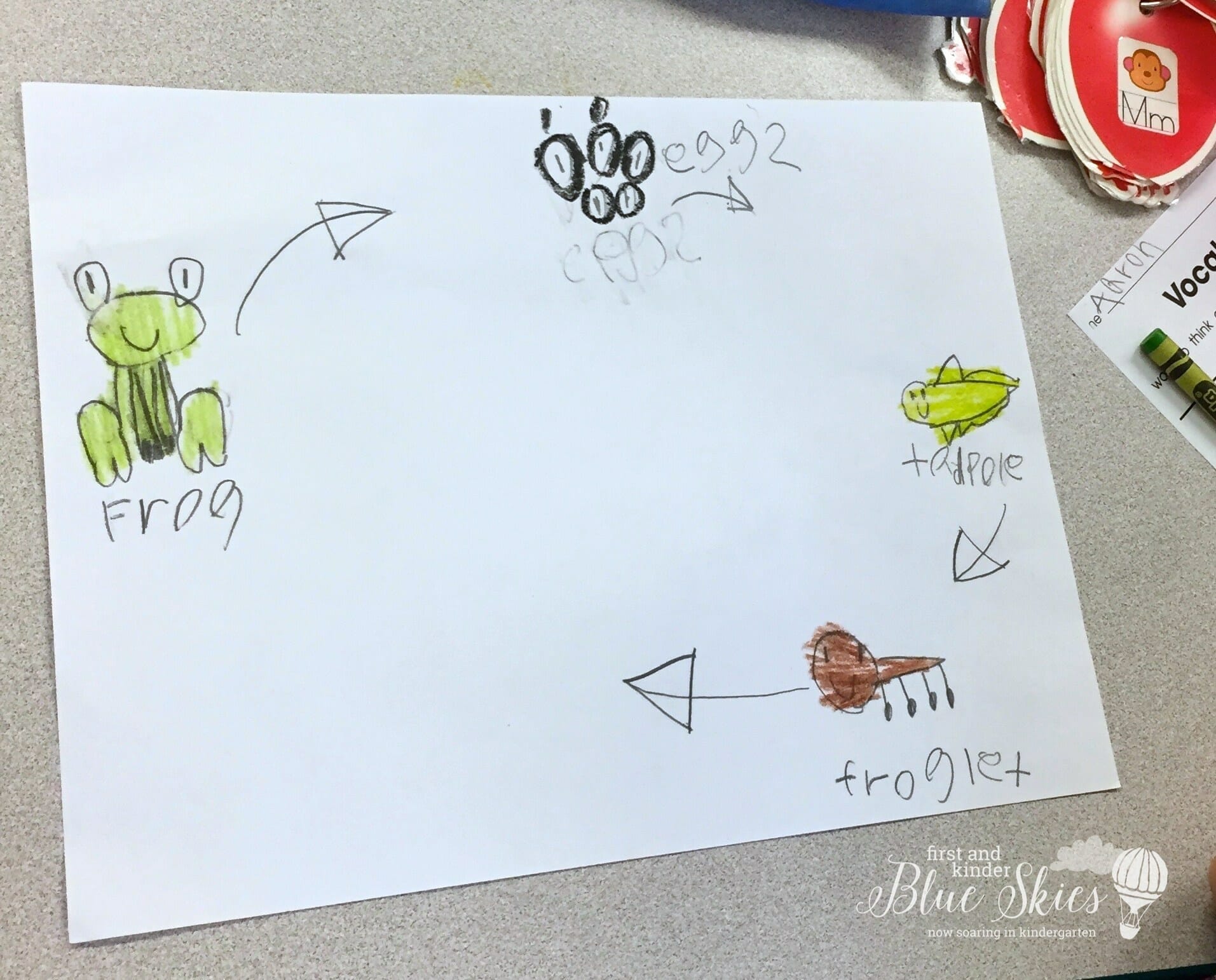 Frog Life-cycle - Ms. Suzannes Hatchling Curriculum